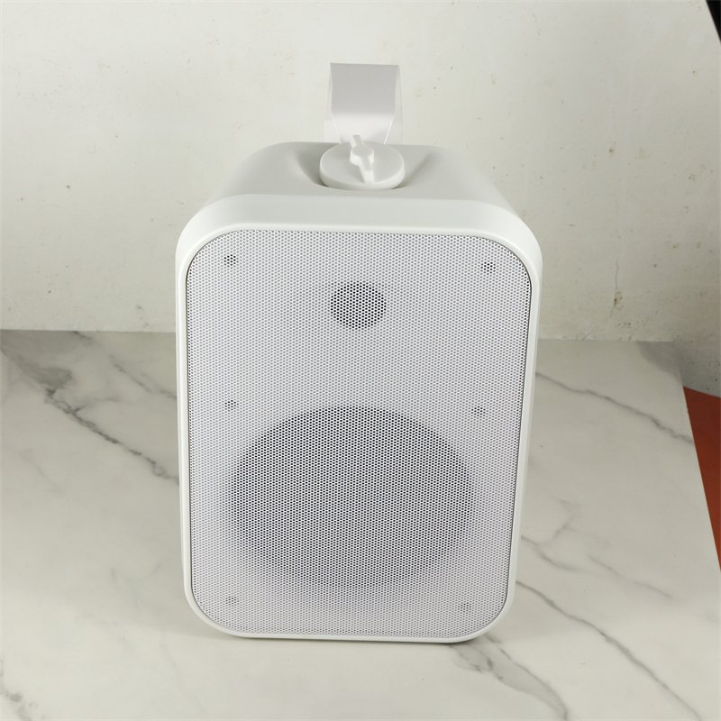 8 ohm Speaker Professional 6.5" 40W Two-Way Audio Plastic Passive Speaker for Restaurant and Cafe Wall Mount Speaker