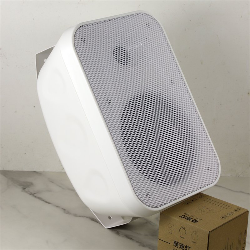 8 ohm Speaker Professional 6.5" 40W Two-Way Audio Plastic Passive Speaker for Restaurant and Cafe Wall Mount Speaker