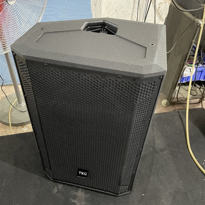 TKG STX812M 12 inch 350 watt high quality stage monitor audio dj sound system pa speaker