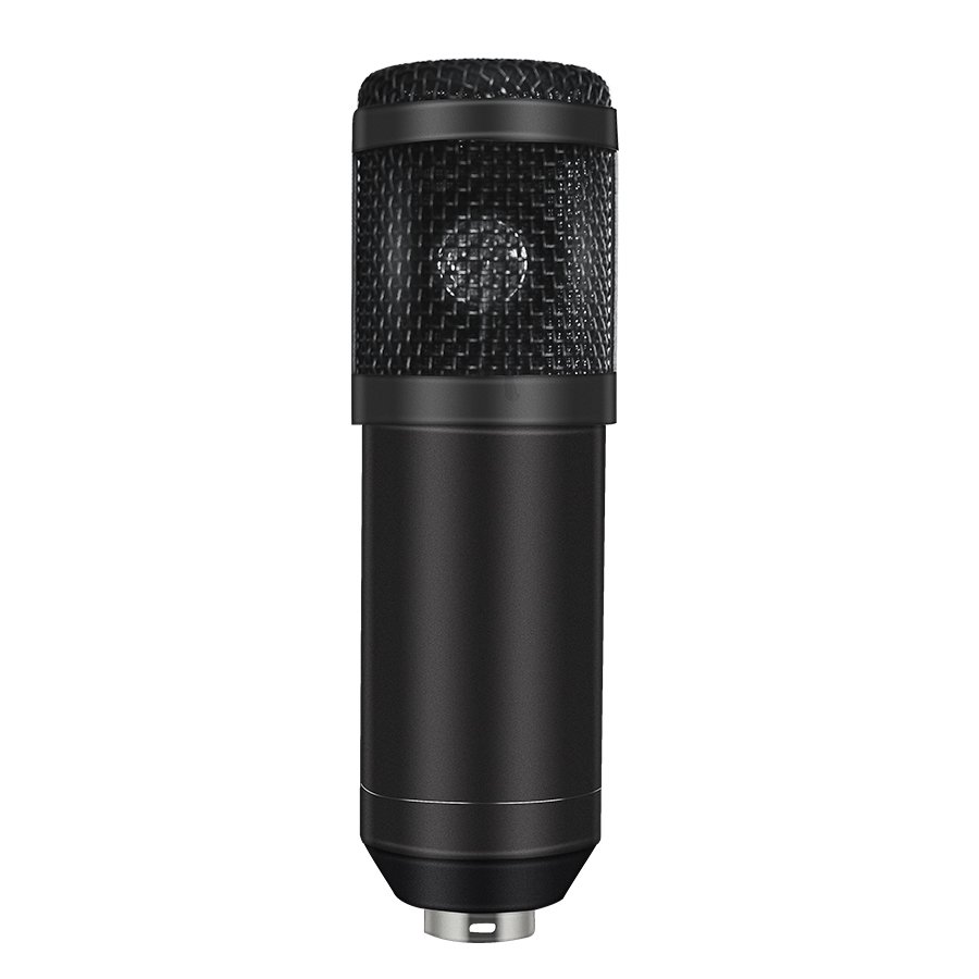 Professional mic Condenser bm 800 micro BM800 Microphone Recording for Computer Karaoke KTV