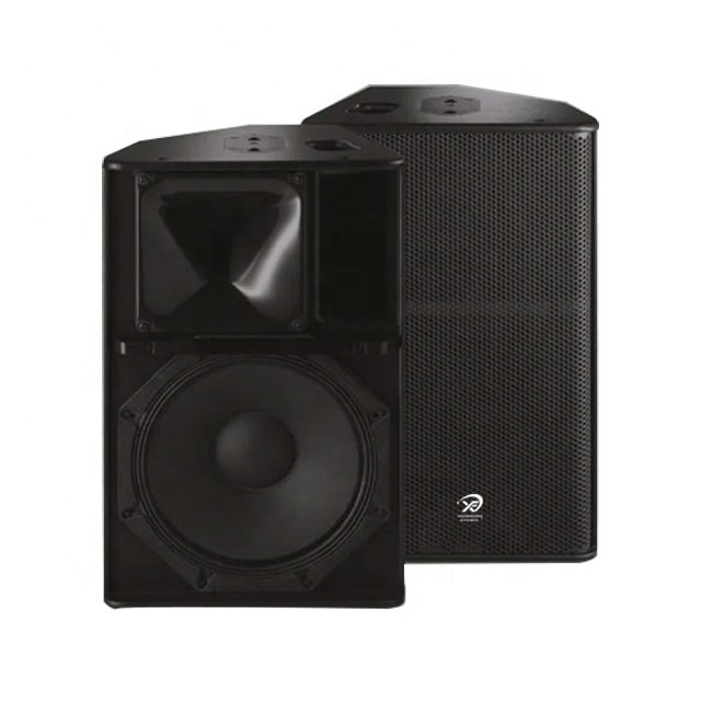 PS15 Single 15" Full Range Speaker Professional Line Array Audio