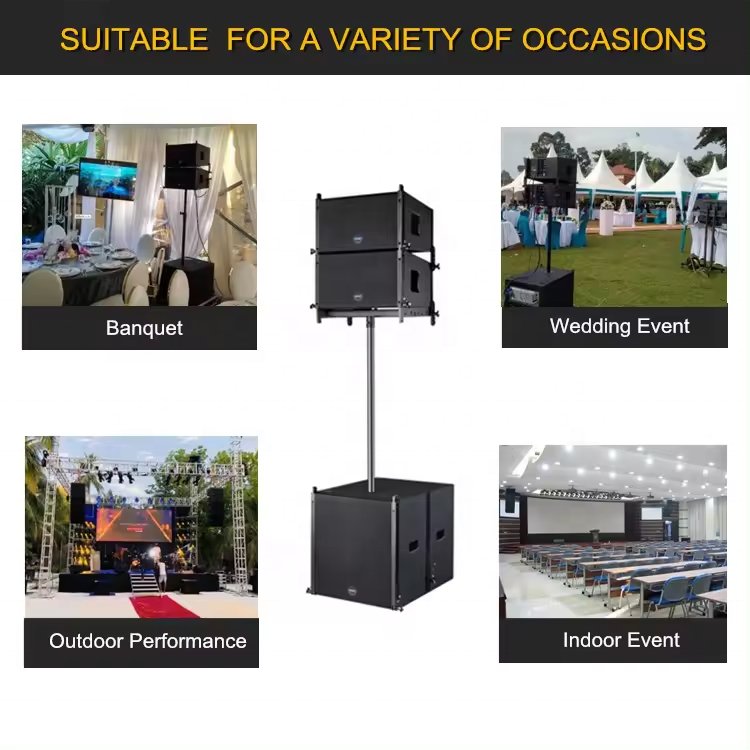 Professional Audio 10 Inch Passive Indoor Stadium/Outdoor Venues/Gymnasium/Arena/Pub/KTV Line Array Speaker