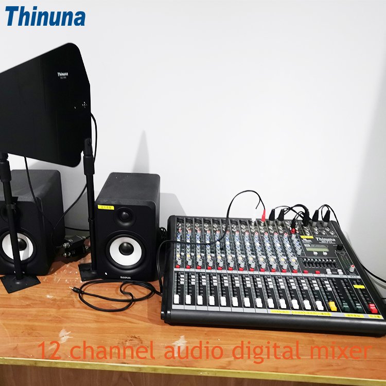 Thinuna MX-F12 Stereo Two Braid Mixer Professional 12 Channel Mixer Console USB Effertor Audio Mixer