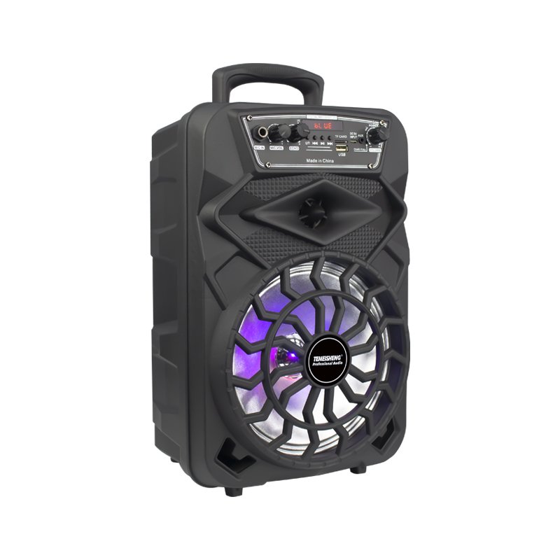 T Fashion 8 Inch Best Quality Modern Style Lautsprecher PA Professional Sound Outdoor Party Bluetooth Trolley Speaker