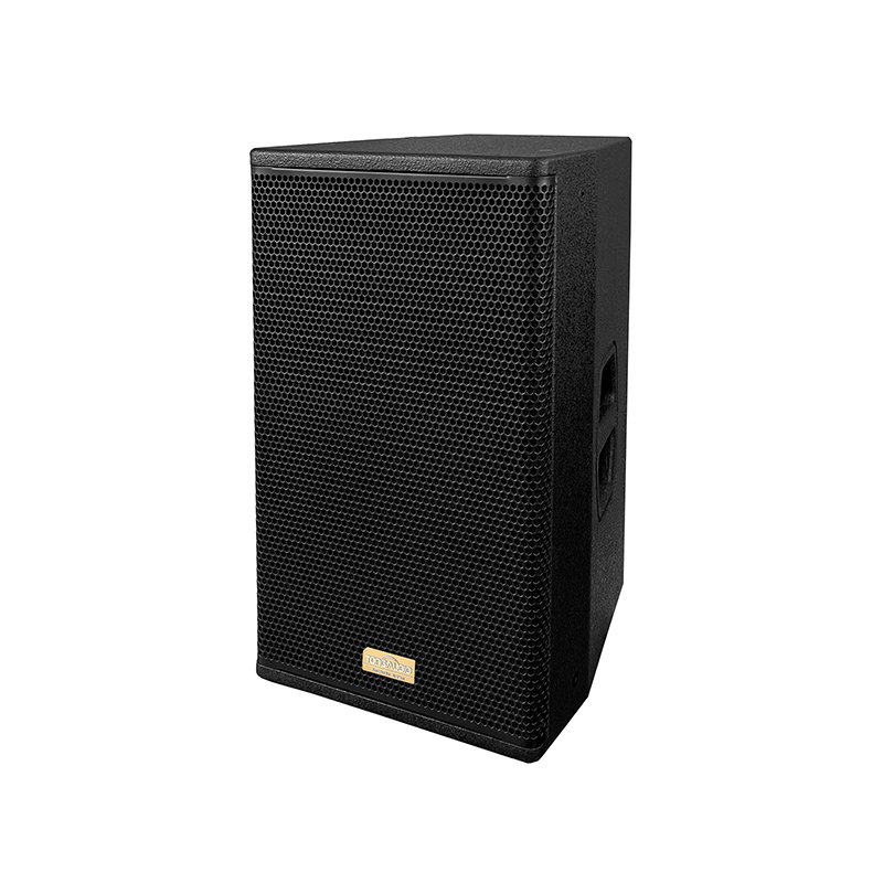 Dragonstage 15inch active high power professional audio ABS speaker