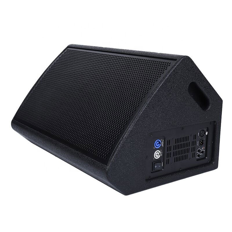 Sinbosen QF-15 Active Single two-way stage monitor 15 inch speaker