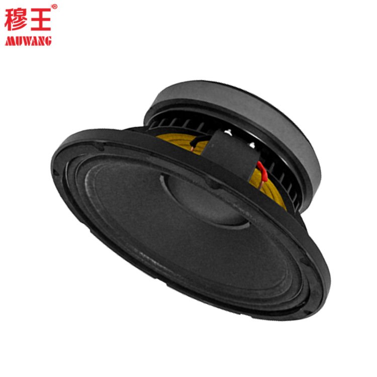 10 inch professional woofer manufacturer audio system speaker unit OEM WL10021