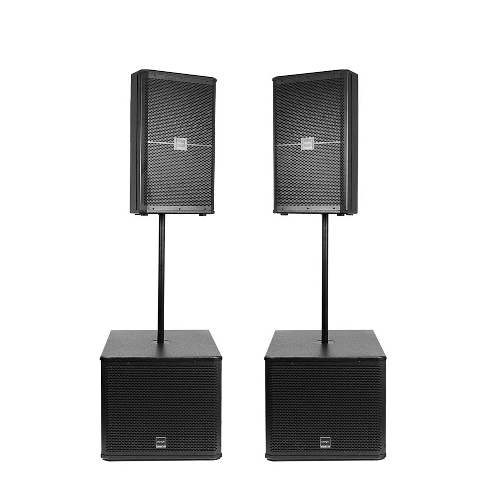 Professional Speech Meeting Stage Audio Sound Equipment 15 Inch Dual Ways Full Rang 8 Ohms 450 Watts Passive Speakers