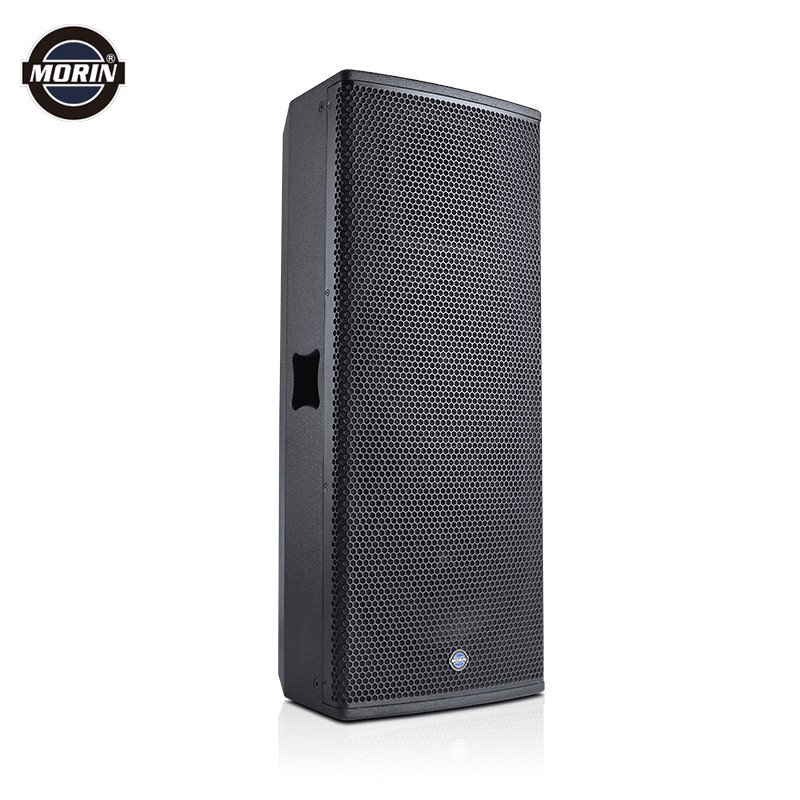 New Active Pro Line Array Speaker System