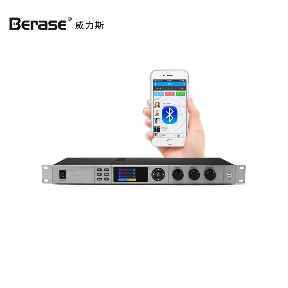 Berase Pre-Effects Professional Karaoke Digital Sound Processor Audio Mixer DJ Reverb Effect Equipment