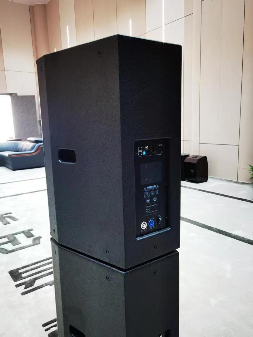 Digital amplifier module for active speaker Morin DXL-15