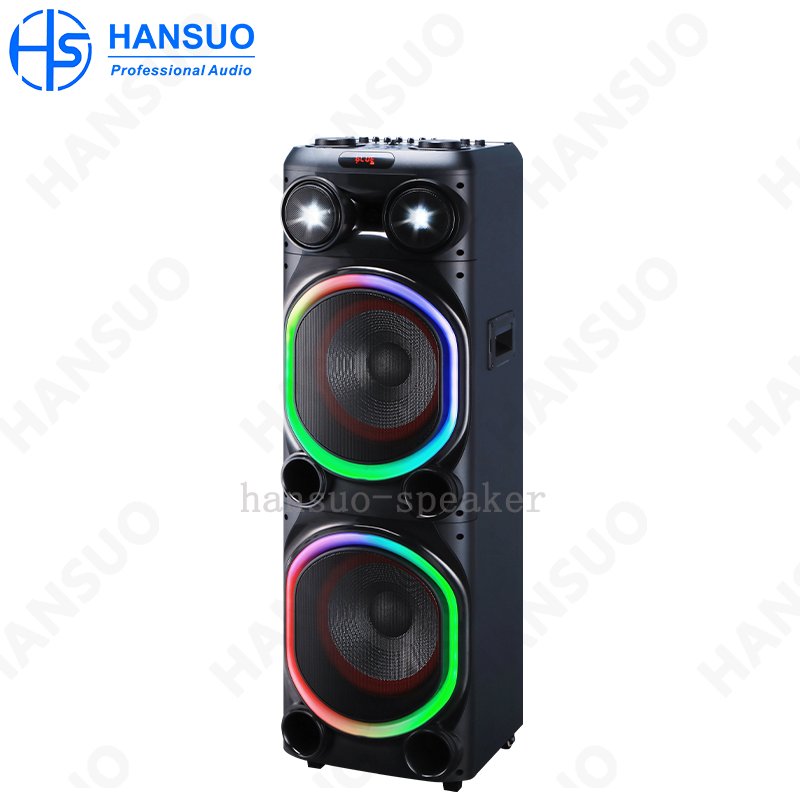 New original speaker dual 12 inch media 100 W high power kalonka trolley amplifier 1000 watts professional power smart