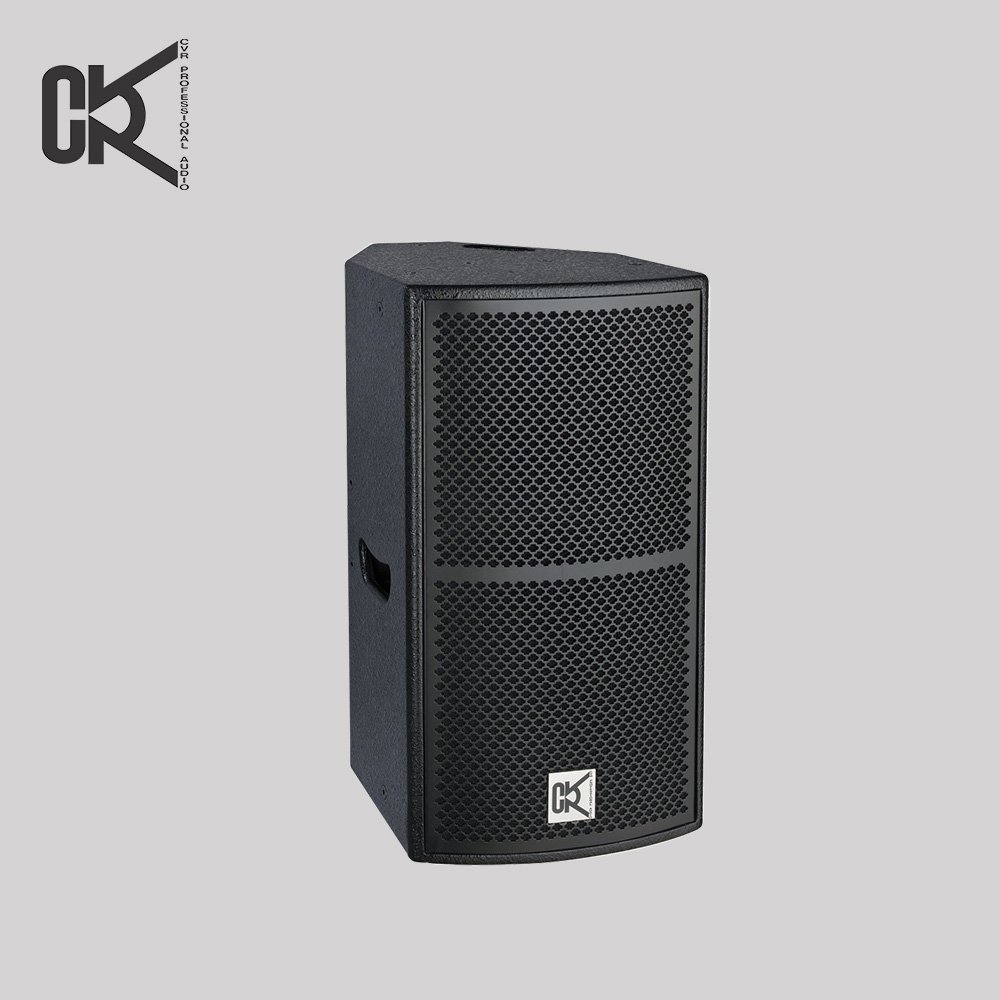 speaker manufacturer CVR PRO AUDIO live sound equipment