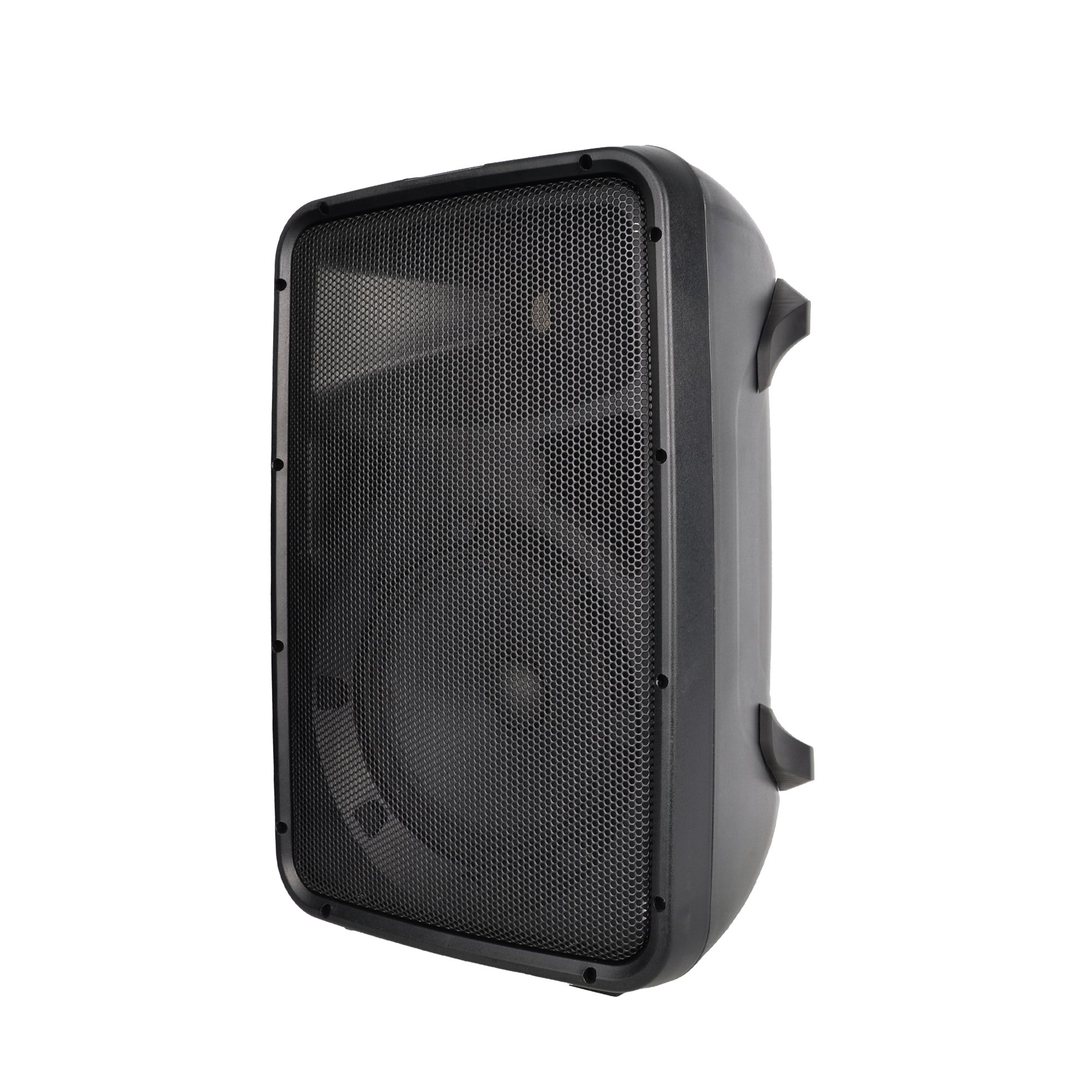 Accuracy Pro Audio ZS210 Compact PA System with Dual Mic Inputs & Individual EQ Wide Frequency Range Audio Sound Equipment