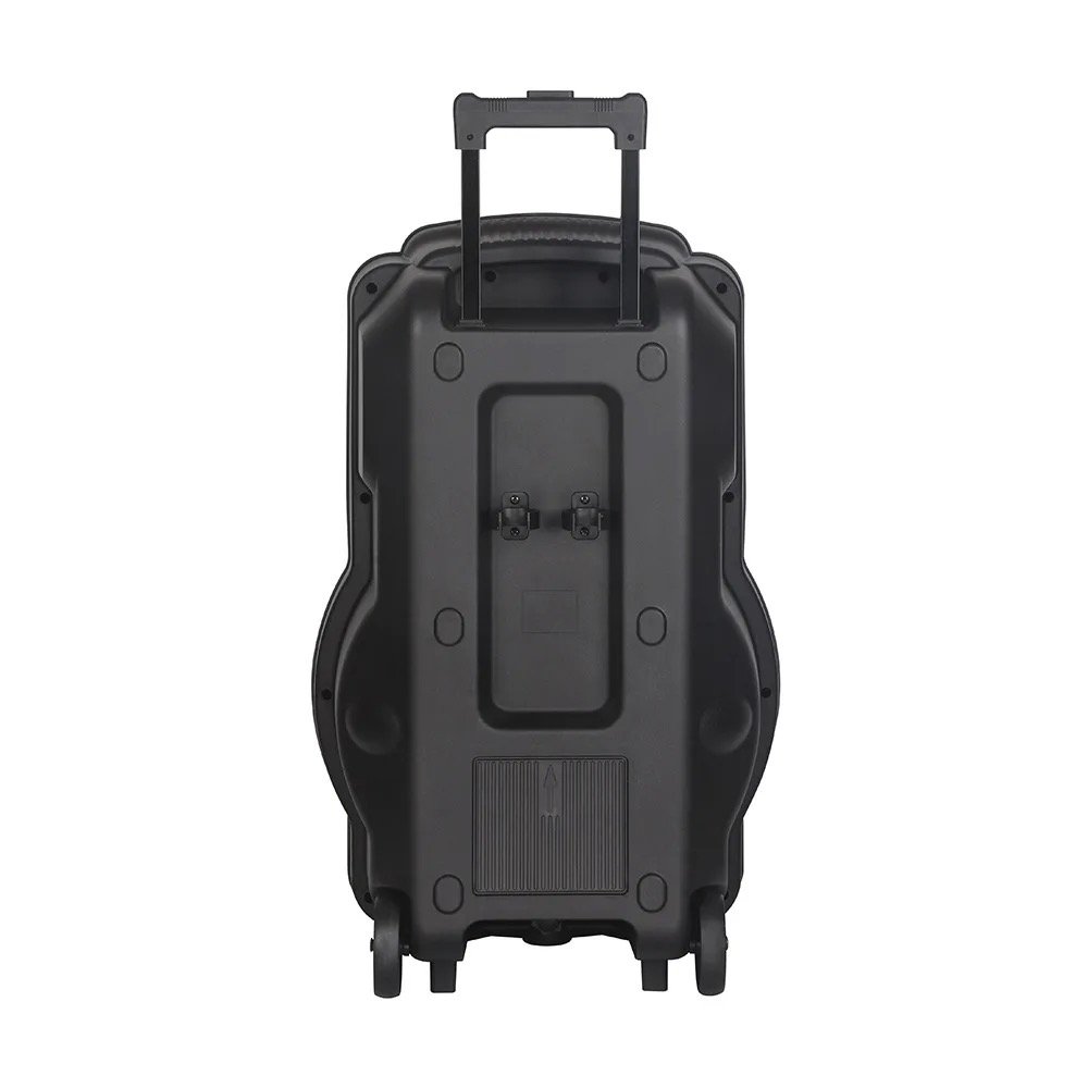 Dual 15 Inch Trolley Speaker Active Portable Sound Equipment LED Light BT Outdoor Party DJ High Powerful Speaker With Mic