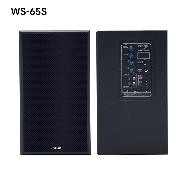 WS-55S Classroom PA System Sound Speaker, Power Amplifier Active Wall Speaker 2.4G Wireless Audio Multimedia Teaching Speaker