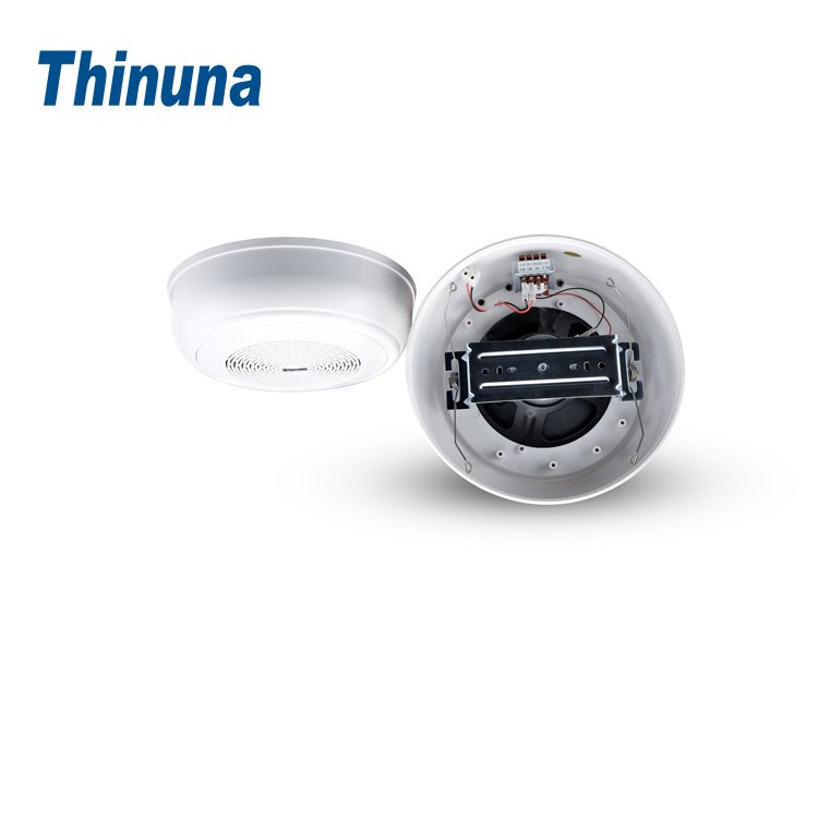 Thinuna CS-10 6.5 Inch 100v10w Full Range Speaker with Bulit-in Audio Transformer PA System Surface Mount Ceiling Speaker