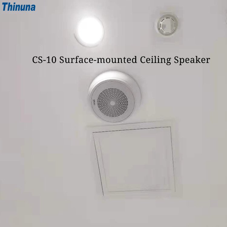 Thinuna CS-10 6.5 Inch 100v10w Full Range Speaker with Bulit-in Audio Transformer PA System Surface Mount Ceiling Speaker