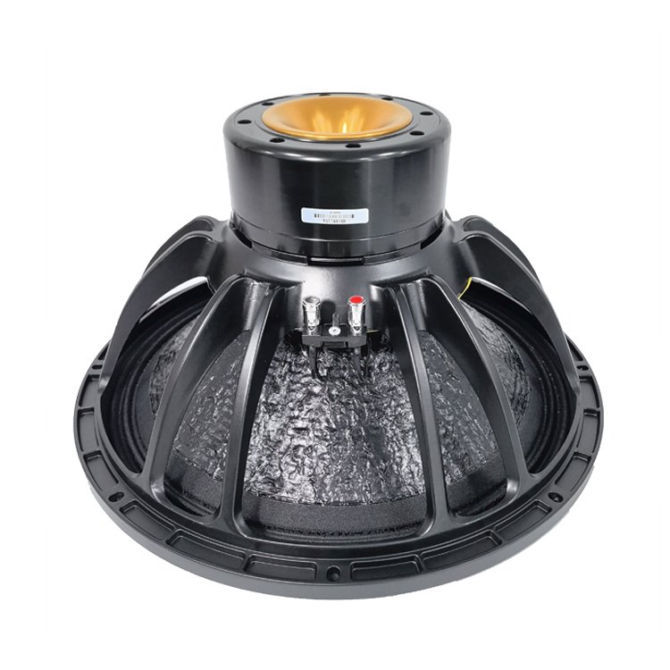 Dj Sound System Speakers 18 Inch 2400 Watt Big Bass Sepeker Subwoofer 18 Inch