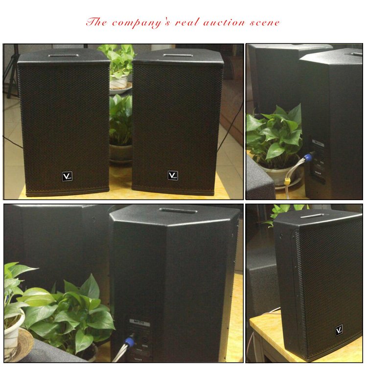 MSR1010 audio equipment music set players monitor Family KTV professional stage wedding high-power outdoor performance