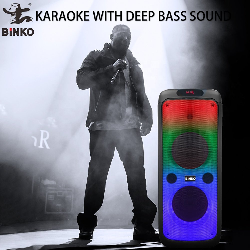 Portable 8'' big speakers for dj outdoor dj party sound equipment home theatre speaker