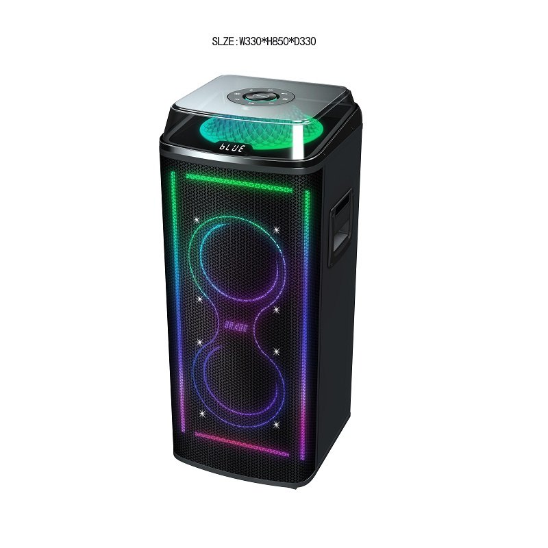 Pro sound smart portable 10 inch subwoofer 1000W amplifier Xbass audio shimmer wireless bluetooth speaker with two wireless mic