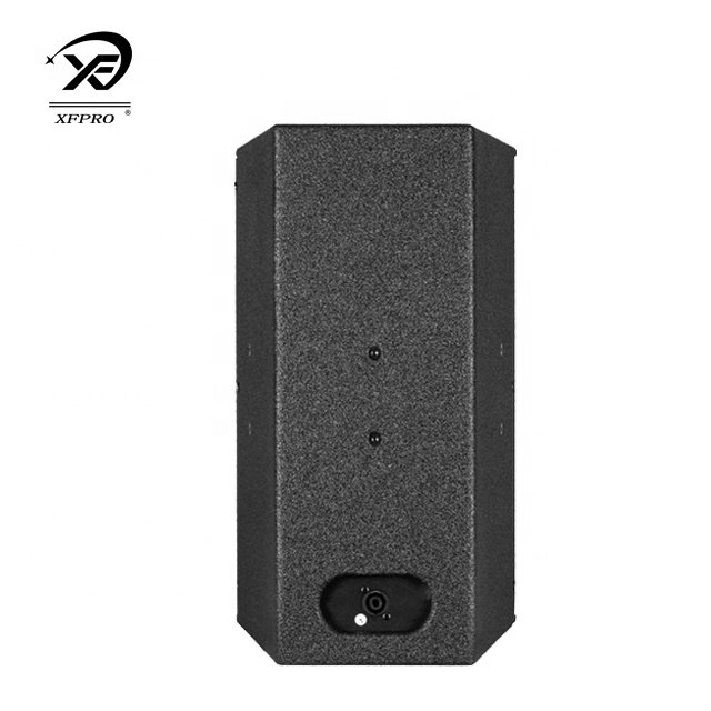 D10 Single 12" Full Range Speaker Professional Line Array Audio Loudspeaker for Installation