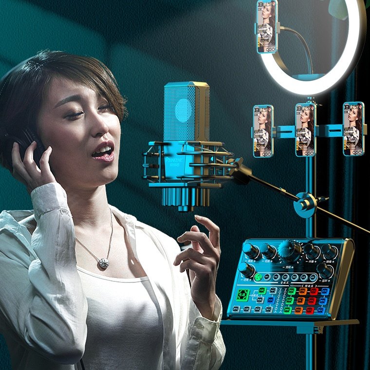 Sound Card V-P200 Multi-Sound Live for TikTok Facebook Podcast Game Singing Hot Sound Card