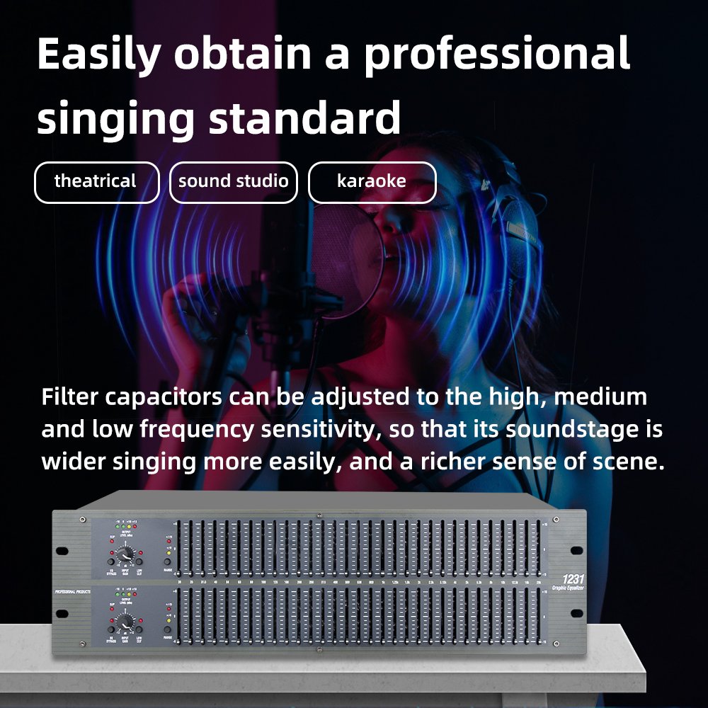 Factory wholesale 1231 dual 31 band graphic equalizer professional audio processor sound equipment amplifier speaker stage