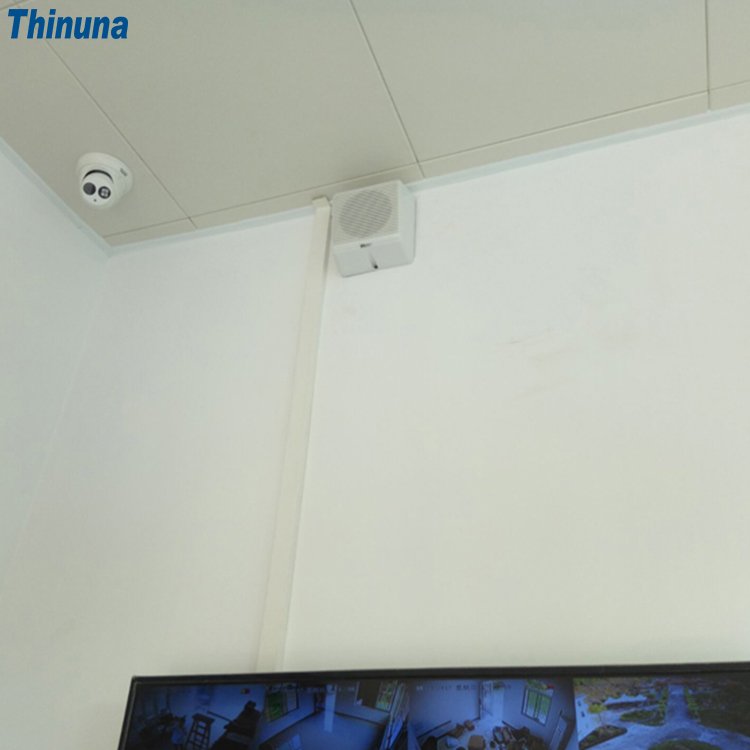 Thinuna WS-603 Home Theater Sound Public Address System 5 Inch 6W Speaker Box Wall Mount Speaker for Conference,Restaurant