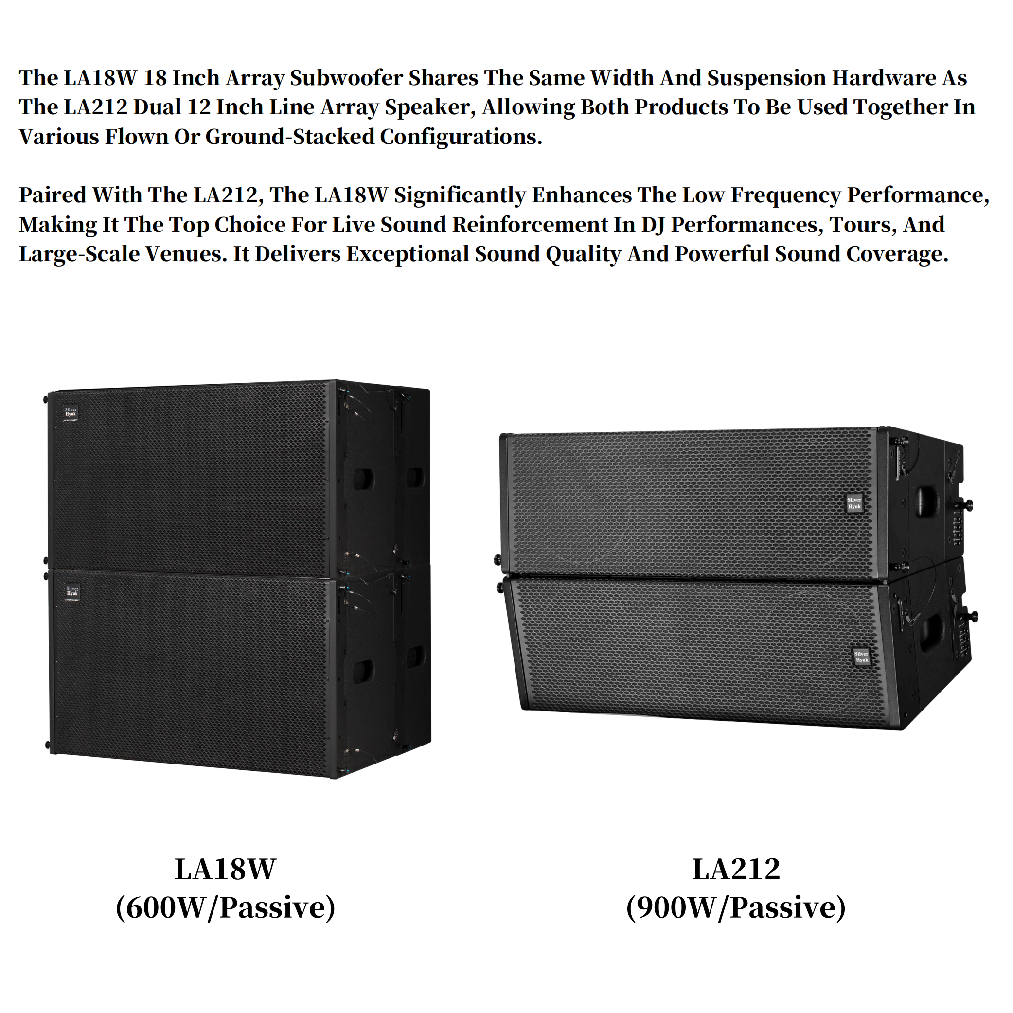 18 Inch 600W SUB-Bass Stage Professional Sound Audio System Church Subwoofer Speaker