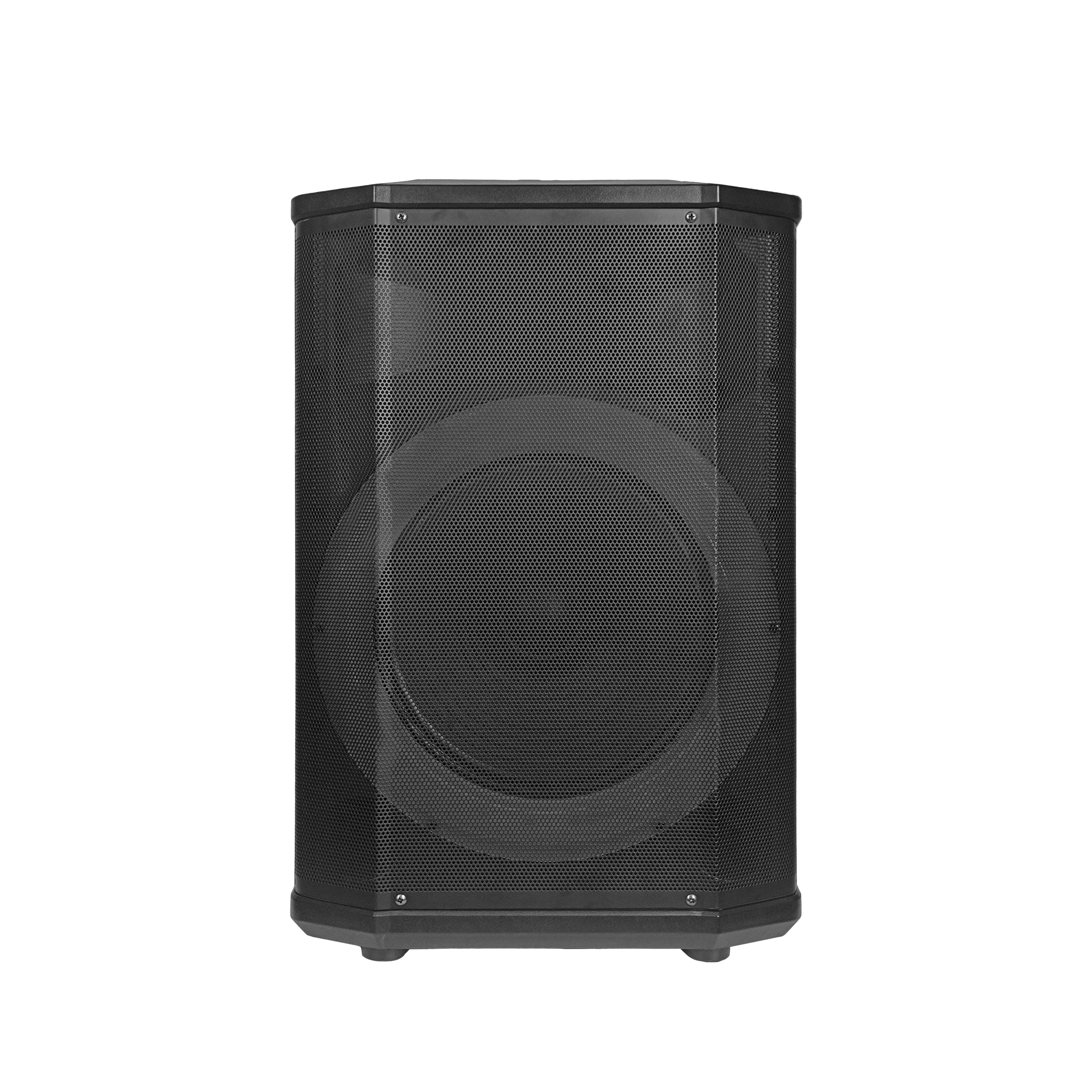 Temeisheng New wireless Bluetooth Speakers single 12 inch Sound system party DJ Karaoke portable Box