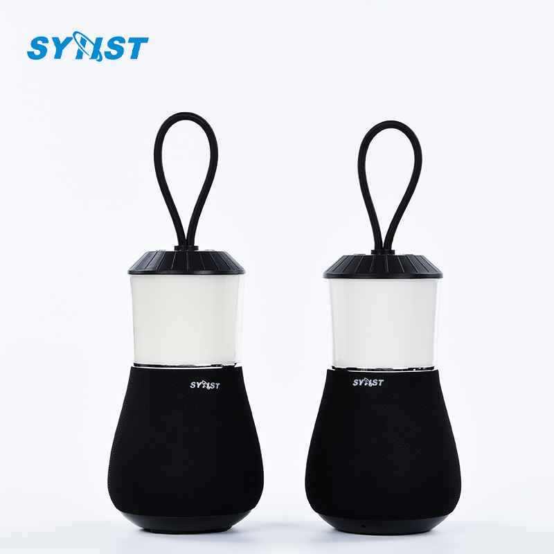 12 inch subwoofer bang and olufsen portable neo tiny motor shoe zqs 300w wireless outdoor mini lion product bluetooth speakers