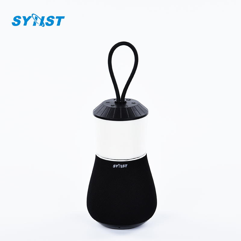12 inch subwoofer bang and olufsen portable neo tiny motor shoe zqs 300w wireless outdoor mini lion product bluetooth speakers