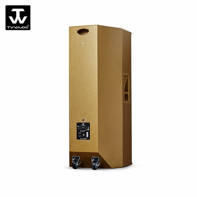 Professional Home 600W Sound System Equipment DJ Speakers
