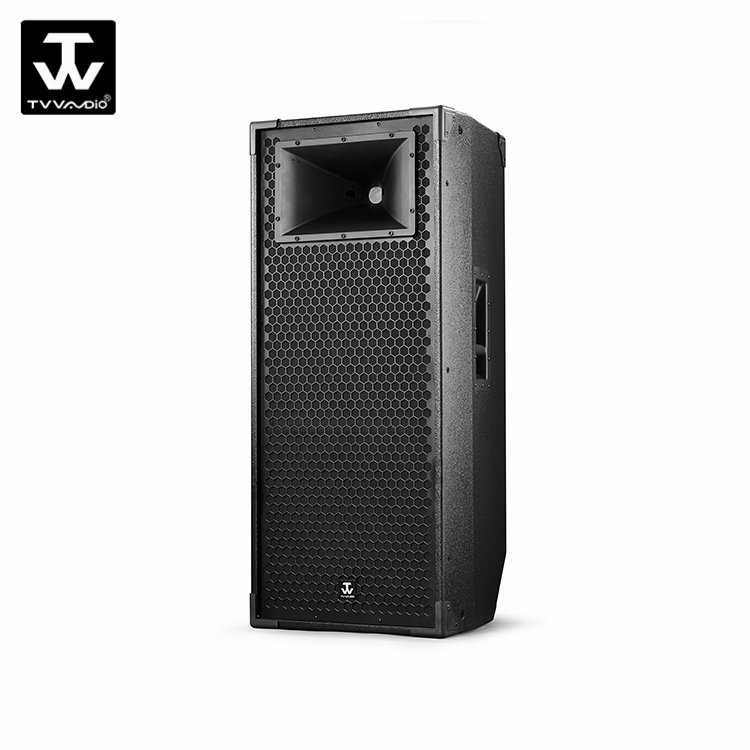 Professional Home 600W Sound System Equipment DJ Speakers
