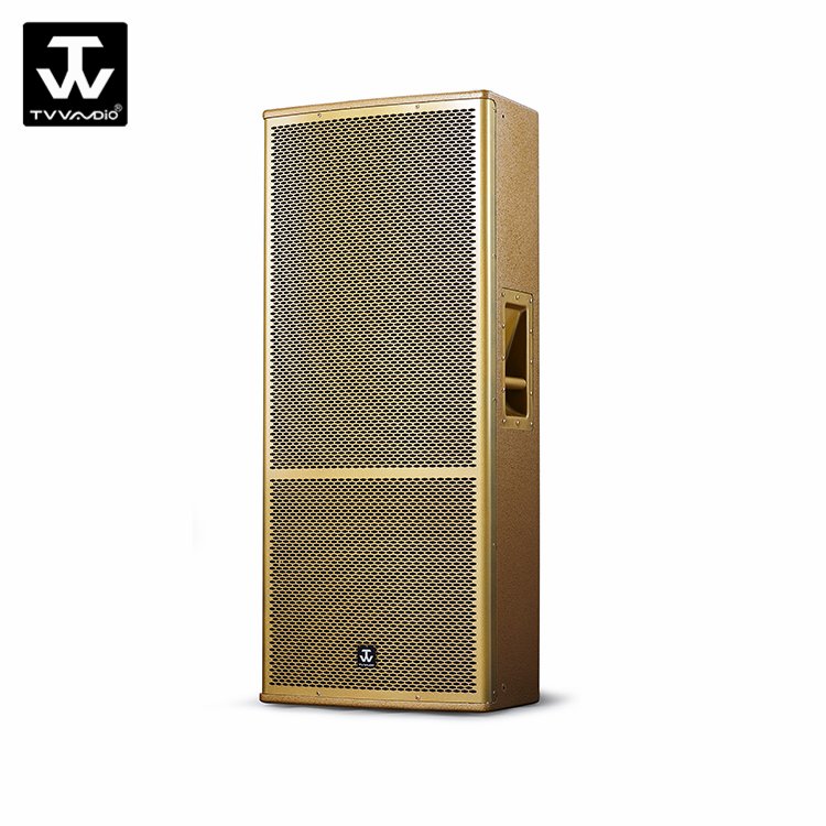 Professional Home 600W Sound System Equipment DJ Speakers