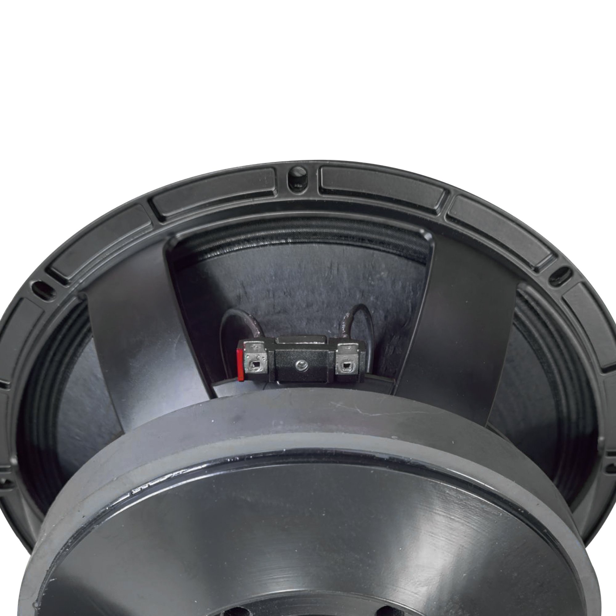 Accuracy Pro Audio 12BCM100 10 Inch Professional Woofer Can be paired with Wooden Speakers Line Array Speakers