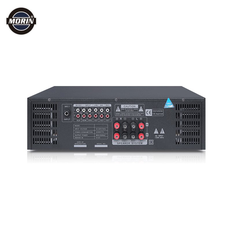 Professional Stereo KTV Karaoke Digital Amplifier
