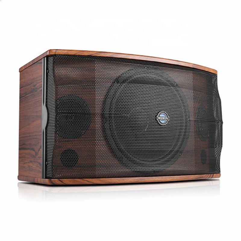 High-end 10 Inch MDF Wooden Box 180W RMS Power Fashion Passive Sound System Professional Meeting Room Mini Karaoke Speakers