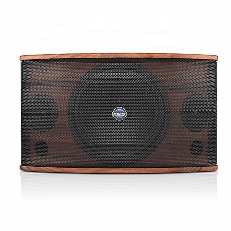 High-end 10 Inch MDF Wooden Box 180W RMS Power Fashion Passive Sound System Professional Meeting Room Mini Karaoke Speakers