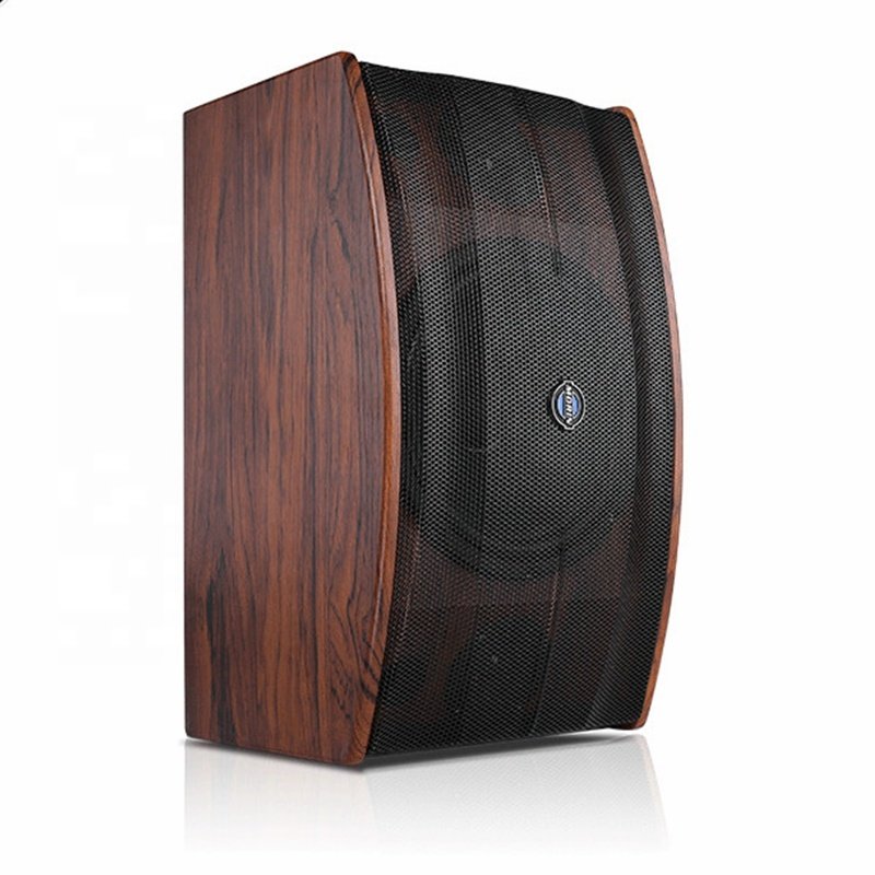 High-end 10 Inch MDF Wooden Box 180W RMS Power Fashion Passive Sound System Professional Meeting Room Mini Karaoke Speakers