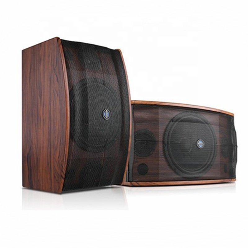 High-end 10 Inch MDF Wooden Box 180W RMS Power Fashion Passive Sound System Professional Meeting Room Mini Karaoke Speakers