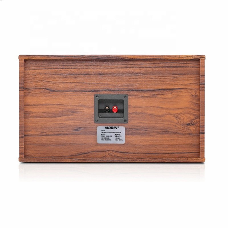 High-end 10 Inch MDF Wooden Box 180W RMS Power Fashion Passive Sound System Professional Meeting Room Mini Karaoke Speakers