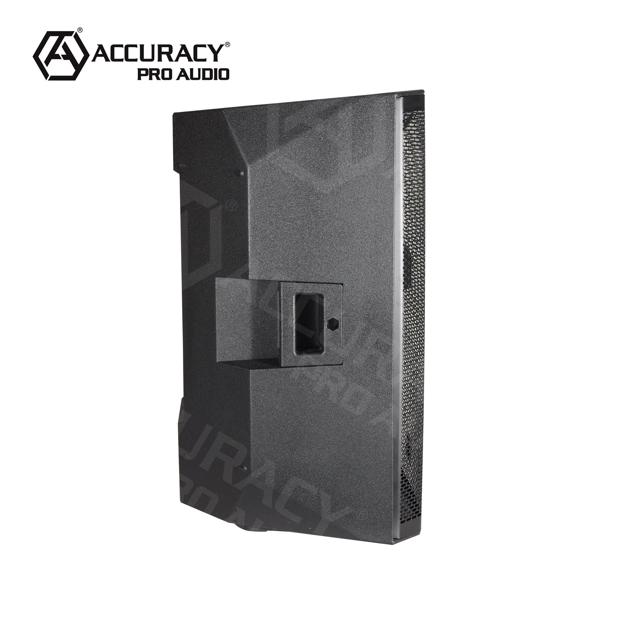 Accuracy Pro Audio CAC15APC 15" inch DJ home sound box loudspeaker professional powered speakers professional active speaker1