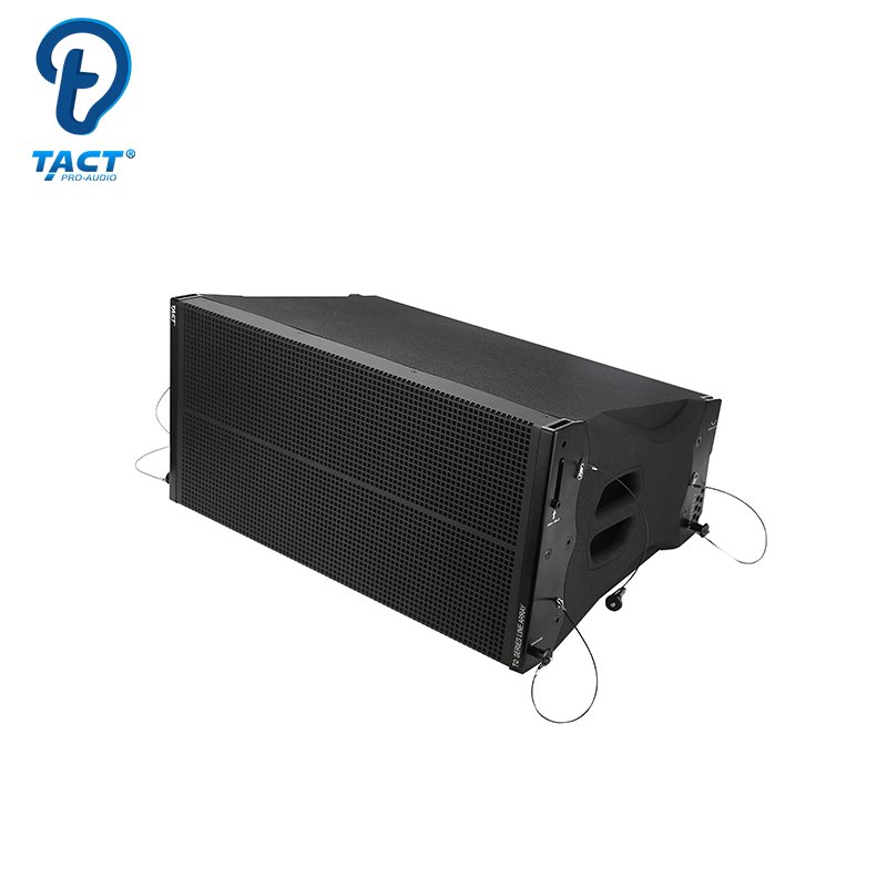 Hot sales good quality Sound system array speaker dual 10 inch outdoor and indoor line array speaker