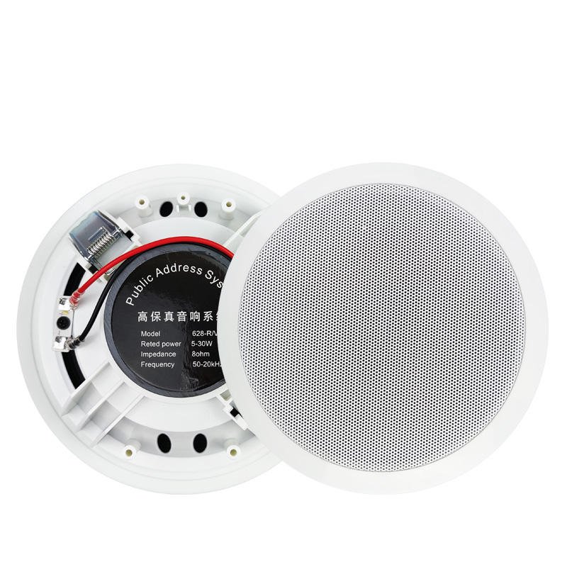 Amplifier Music 18 Inch Active Church Bar Speaker Public Address Bluetooth wifi ceiling speakers