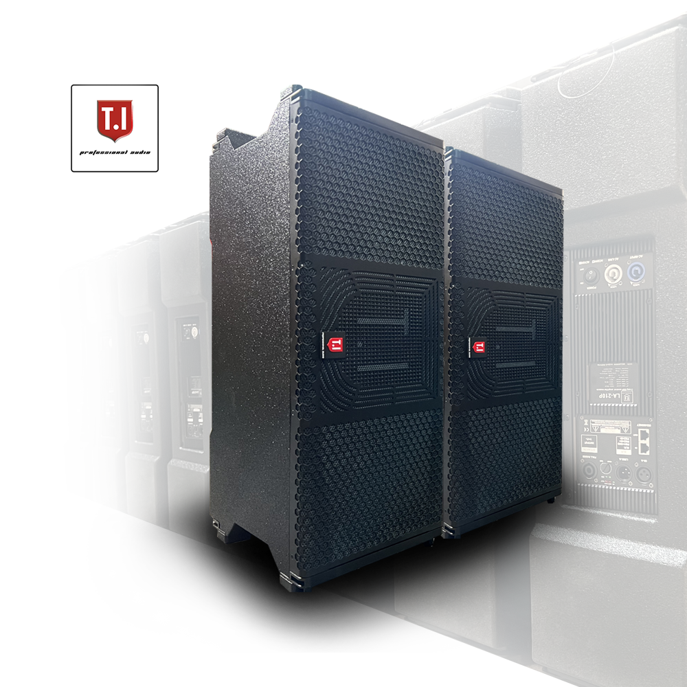 LA210 Dual 10-Inch Subwoofer Professional Audio Sound Equipment for Designers and Music Stores