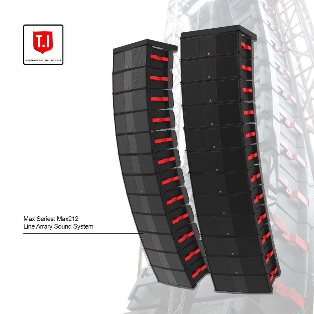 T.I Pro Audio MAX212 PA Systems Public Audio System for Church Meeting Hall School Gym Show
