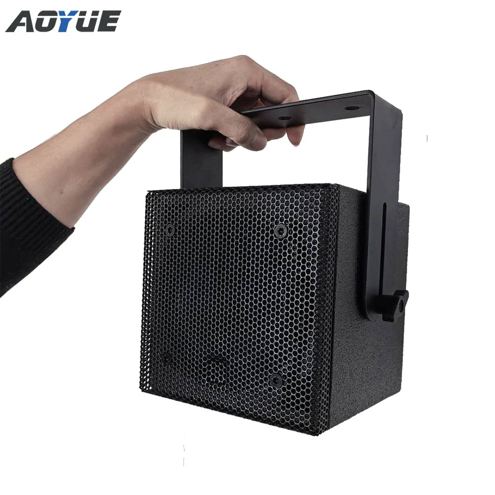 5 inch coaxial monitor passive speaker stage sound system